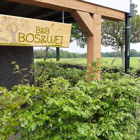 Bos En Wei * Hall